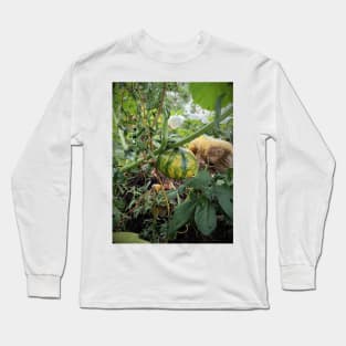 Green pumpkin in the garden Long Sleeve T-Shirt